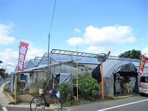 秋池農園|秋池農園 （上尾市） 